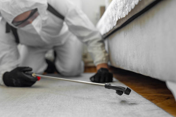 Professional Cockroach Control technician working in Cherry Valley, IL
